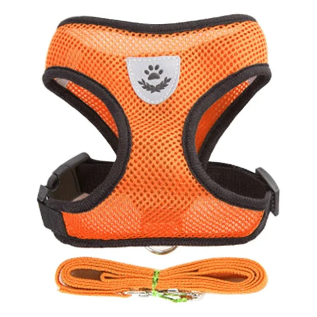 Arnés para Gatos Ajustable con Correa – Arnés Antiescape Seguro y Cómodo para Pasear Gatos