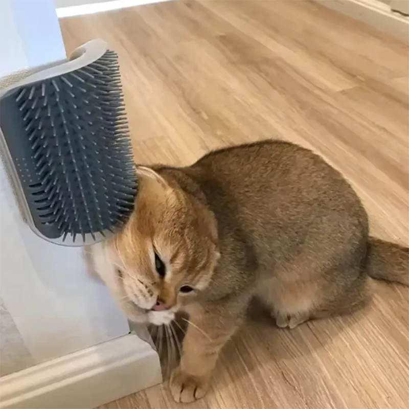 Cepillo para Gatos – Removedor de Pelo y Masajeador Suave
