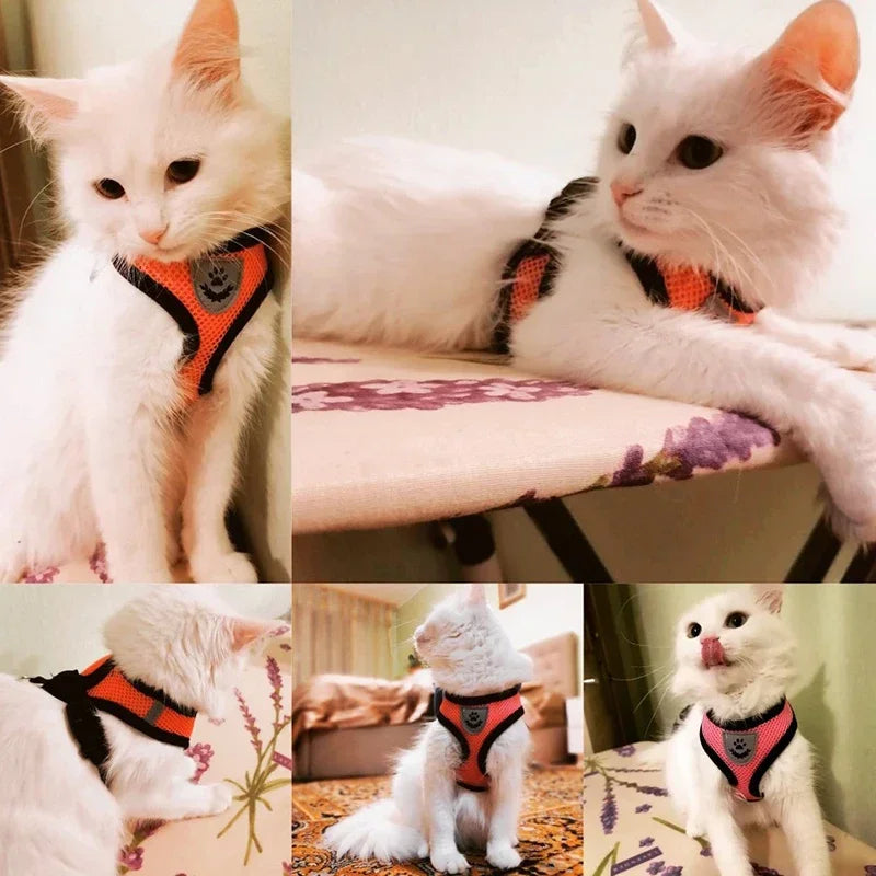 Arnés para Gatos Ajustable con Correa – Arnés Antiescape Seguro y Cómodo para Pasear Gatos