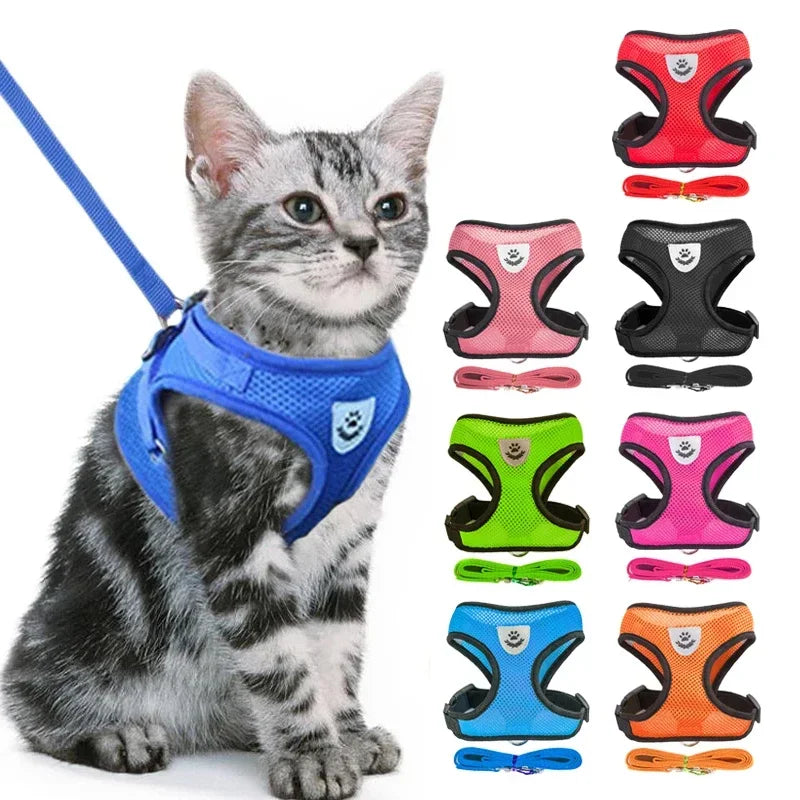 Arnés para Gatos Ajustable con Correa – Arnés Antiescape Seguro y Cómodo para Pasear Gatos